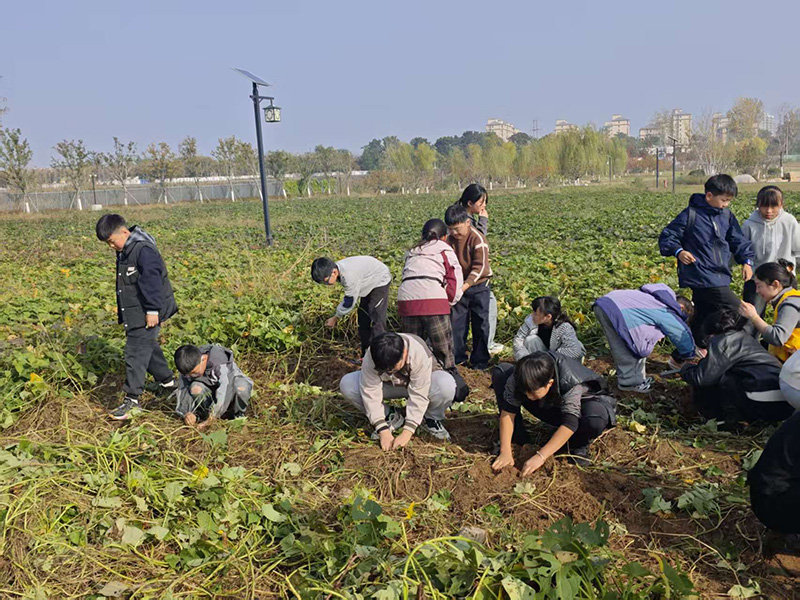 秋日研学正当时：解锁孩子的综合成长密码